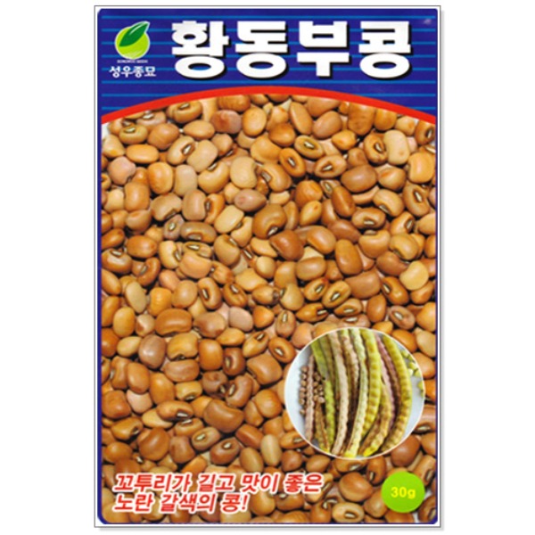 황동부 콩 씨앗 30g