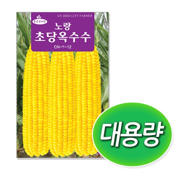 [학습부자재] 대용량 노랑 초당옥수수 씨앗 (400g)