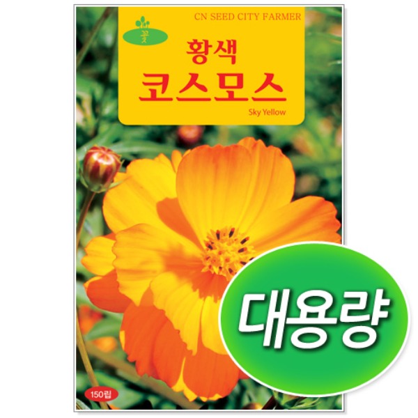 [학습부자재] 대용량 황색 코스모스 씨앗 (100g)