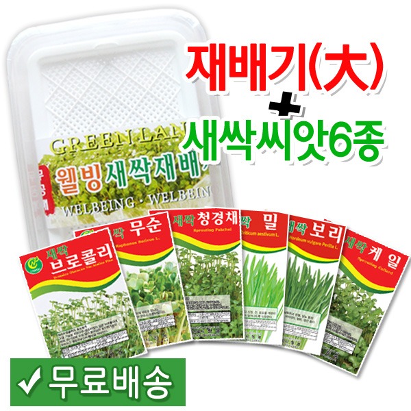 [학습부자재] 새싹재배기(대) + 새싹씨앗6종 set