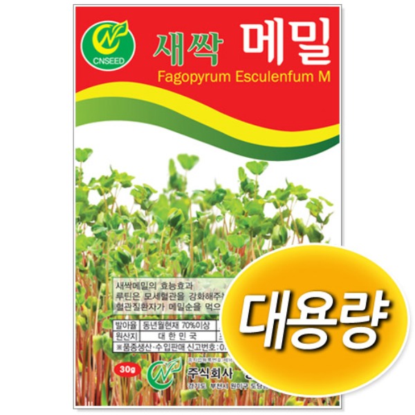 [학습부자재] 대용량 새싹 메밀 씨앗 (500g/1kg)