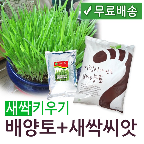 [학습부자재] 새싹키우기 - 배양토 10L + 새싹씨앗 1kg