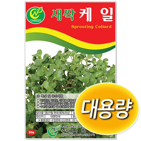 [학습부자재] 대용량 새싹 케일 씨앗 (500g/1kg)