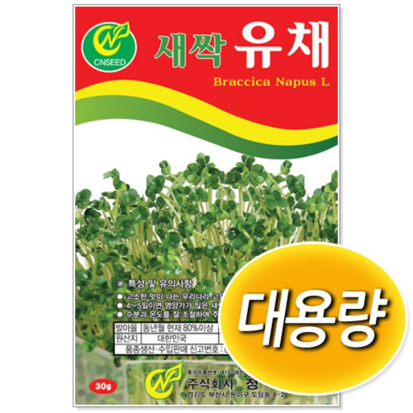 [학습부자재] 대용량 새싹 유채 씨앗 (500g/1kg)