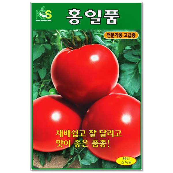 홍일품 토마토 씨앗 50립